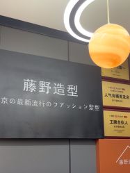 点击看大图 -藤野造型