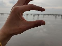 -奉贤海滩
