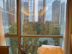 -彩虹之门健康管理