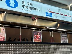 -敏华冰厅(平安金融中心店)
