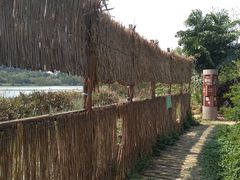 -华侨城湿地公园