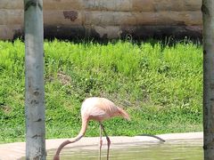 -哈尔滨北方森林动物园