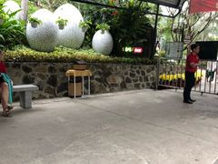 -100蛋泥浆浴