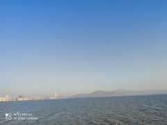 -深圳湾公园(南山区)