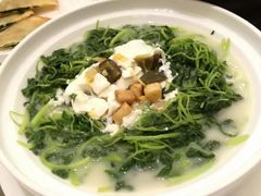 金银旦浸时蔬-湛江菜.江南首席(昆山店)
