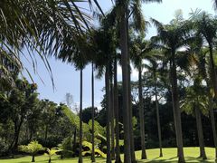 -中国科学院西双版纳热带植物园