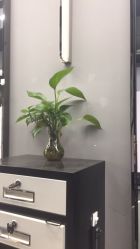 -BM造型·烫染专业店