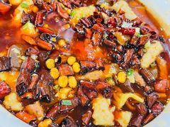 重庆毛血旺-高德海鲜舫(黄河南大街店)
