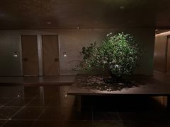 -隐溪茶馆(静安寺店)