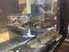 -许家菜(望江店)