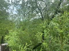 -崂山巨峰游览区