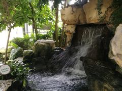 -南山植物园