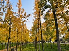 -汉长安城未央宫国家考古遗址公园