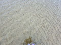 -万尾金滩