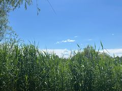 -野鸭湖国家湿地公园