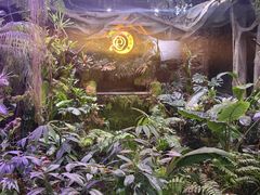 -花之城