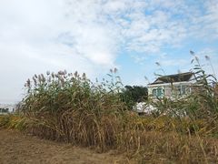 -乡乐园蟹庄·阳澄湖农家乐