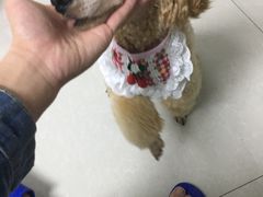 -汪星球宠物生活馆