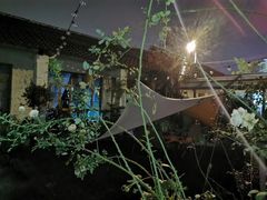 -Jo's Garden