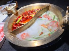 特色鸳鸯锅-锅说大脸毛肚重庆老火锅(佐阾店)