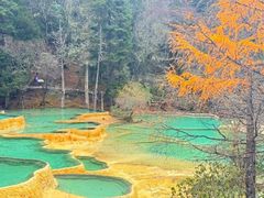 -黄龙山原始森林景区