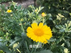 -申隆生态园-上海东方金融小镇