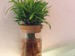 -红小满休闲餐厅(十全街店)