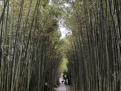 -上海市龙华烈士陵园