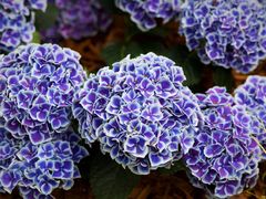 -共青国家森林公园-售票处