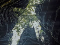 -梭布垭石林景区