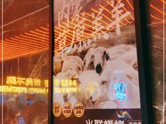 -火联烧烤(学院路创始店)