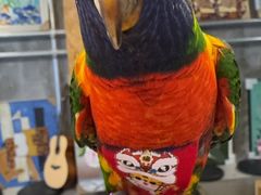 -吾叁·吉趣鸟咖(万科店)
