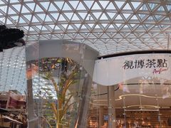 -视博茶点(美狮美高梅店)