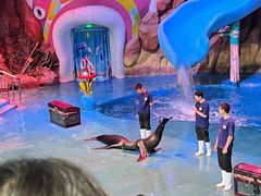 -烟台海昌鲸鲨海洋公园