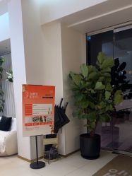 -WENDY·温迪皮肤管理