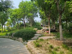 -西海子公园