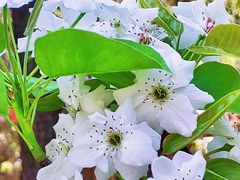 -木塔寺遗址生态公园