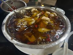 -红京鱼(西坝河店)