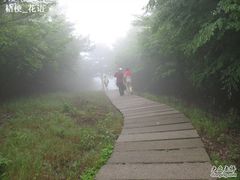 -安吉龙王山风景区