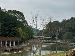 -广州市帽峰山景区