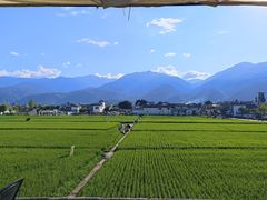 -喜林苑·稻田餐厅(品相府店)