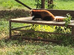 -合肥野生动物园
