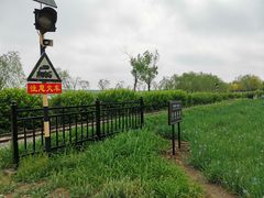 -西青郊野公园