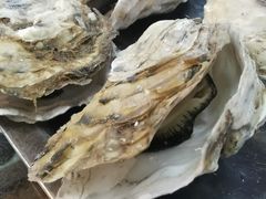 -蚝得喜海鲜(东城店)