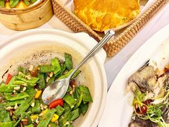 XO酱啫云南扁豆-唐宫·粤菜海鲜(万象城店)