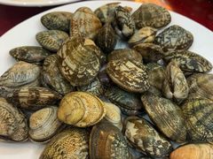 -山海关清和浑锅店