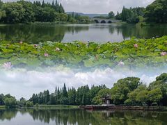 -尚湖风景区