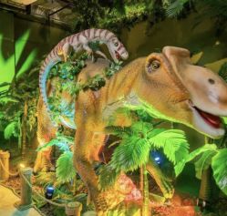 -恐龙探索乐园(磁器口店)