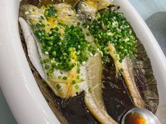 -樱苑(四川北路店)