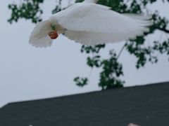 -J Create城市露营咖啡·简餐·宠物(上海动物园店)